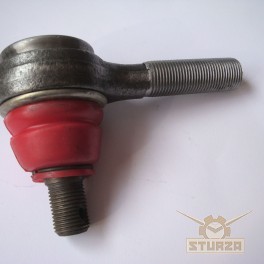 Gazella rúdfej